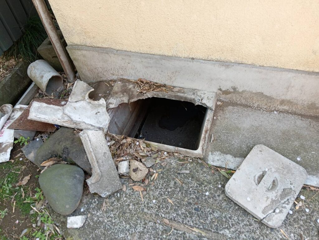 ピクトレ参戦】実際にプレイしてみた@群馬前橋 ～歴史的初日に”ウン没伝説”をつくった件 - 無課金王国(ムカキングダム)